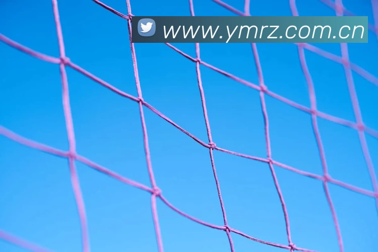 安博·app官网首页 - 安博(中国)APP 封面图